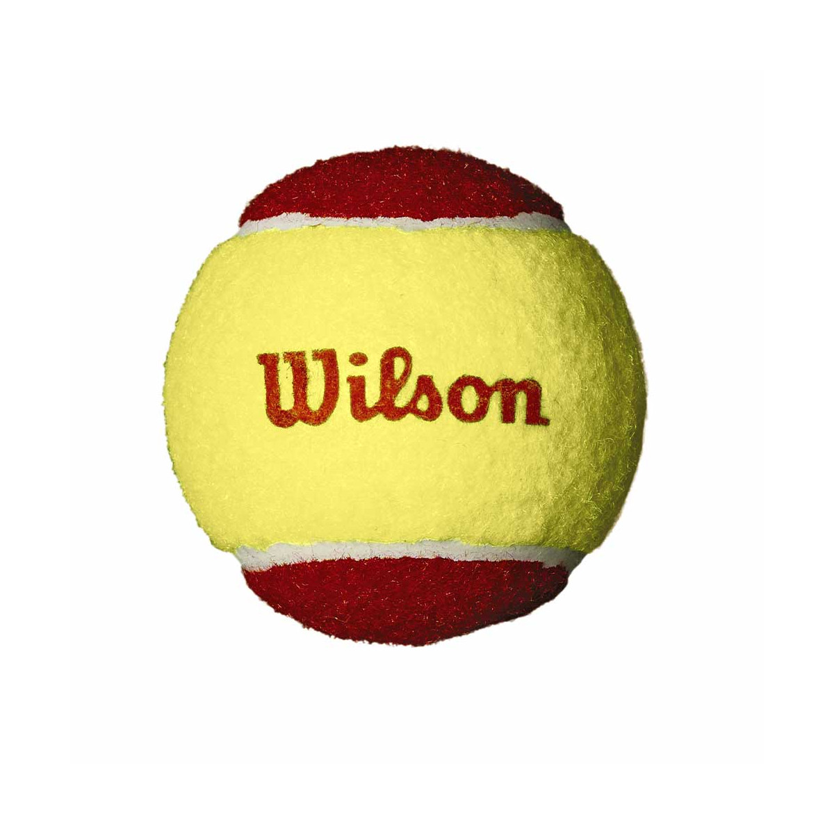 Wilson Starter Rot Tennisb&auml;lle Karton (36 B&auml;lle)