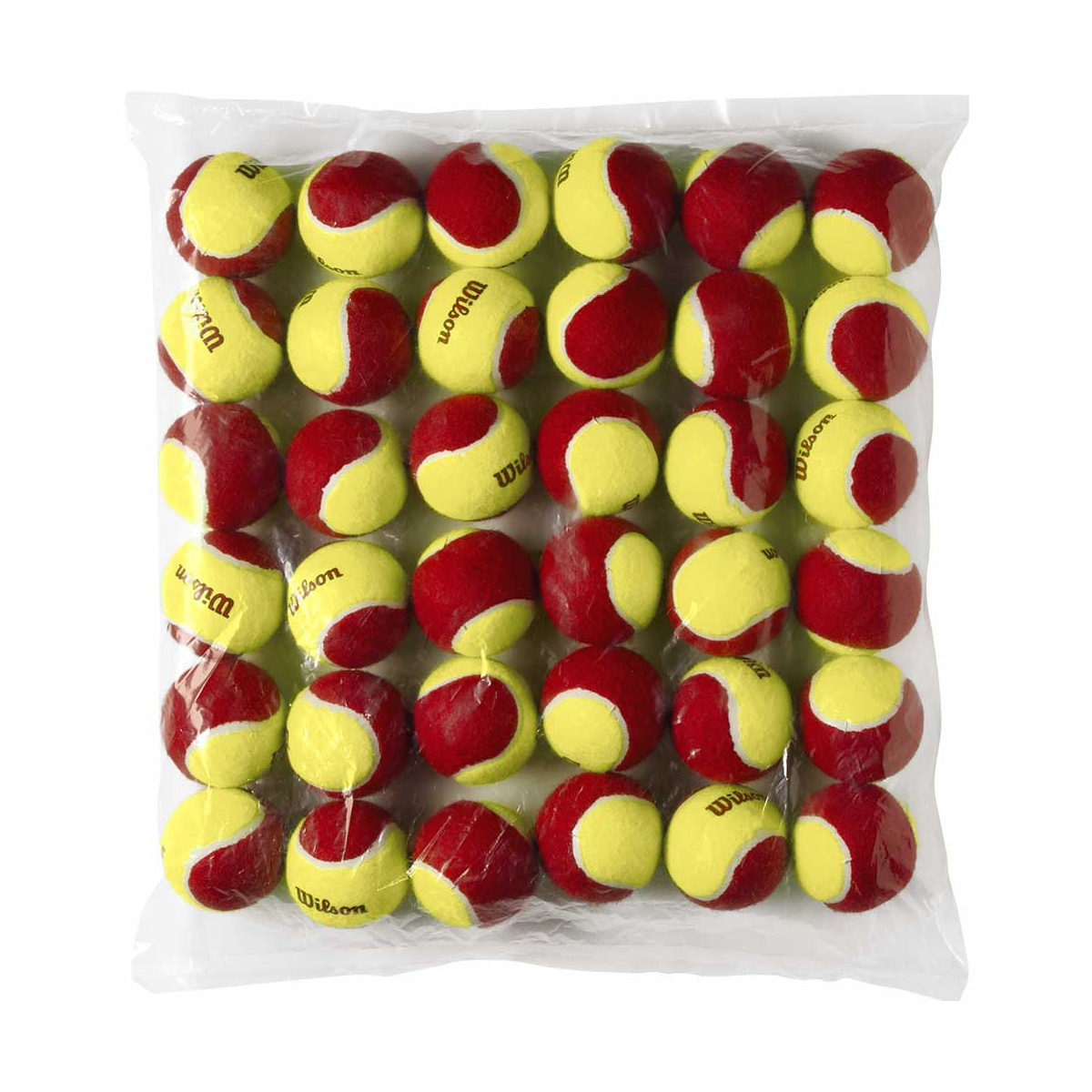 Wilson Starter Rot Tennisb&auml;lle Karton (36 B&auml;lle)