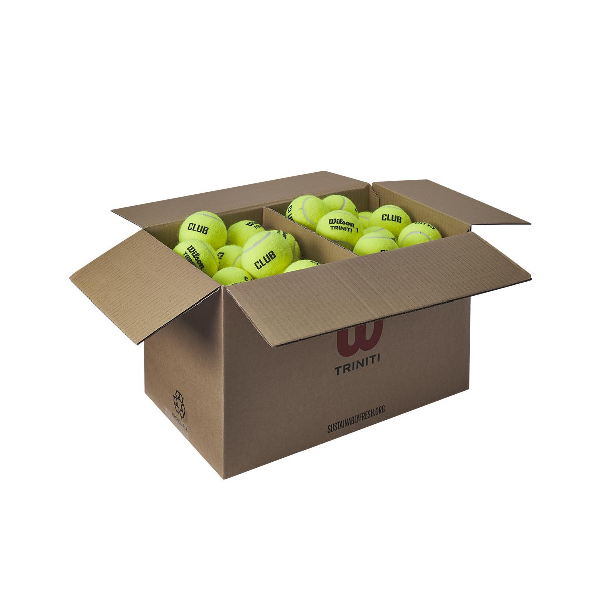 Wilson Triniti Club Tennisb&auml;lle Karton (72 B&auml;lle)