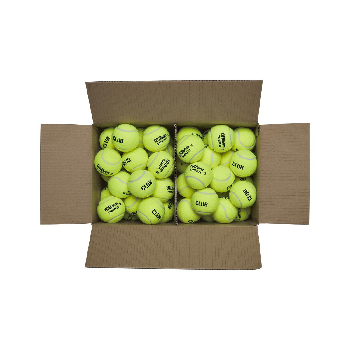 Wilson Triniti Club Tennisb&auml;lle Karton (72 B&auml;lle)