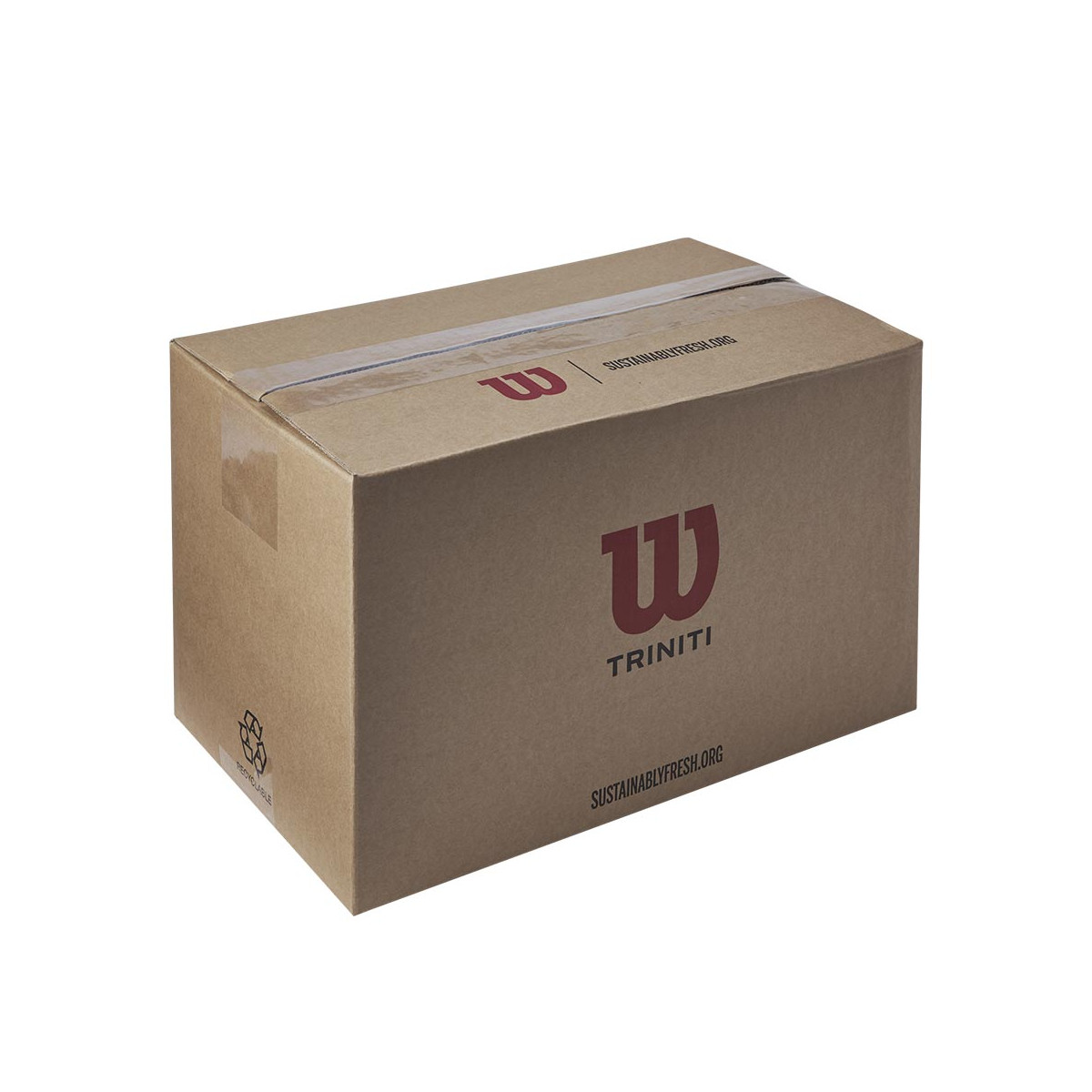 Wilson Triniti Club Tennisb&auml;lle Karton (72 B&auml;lle)