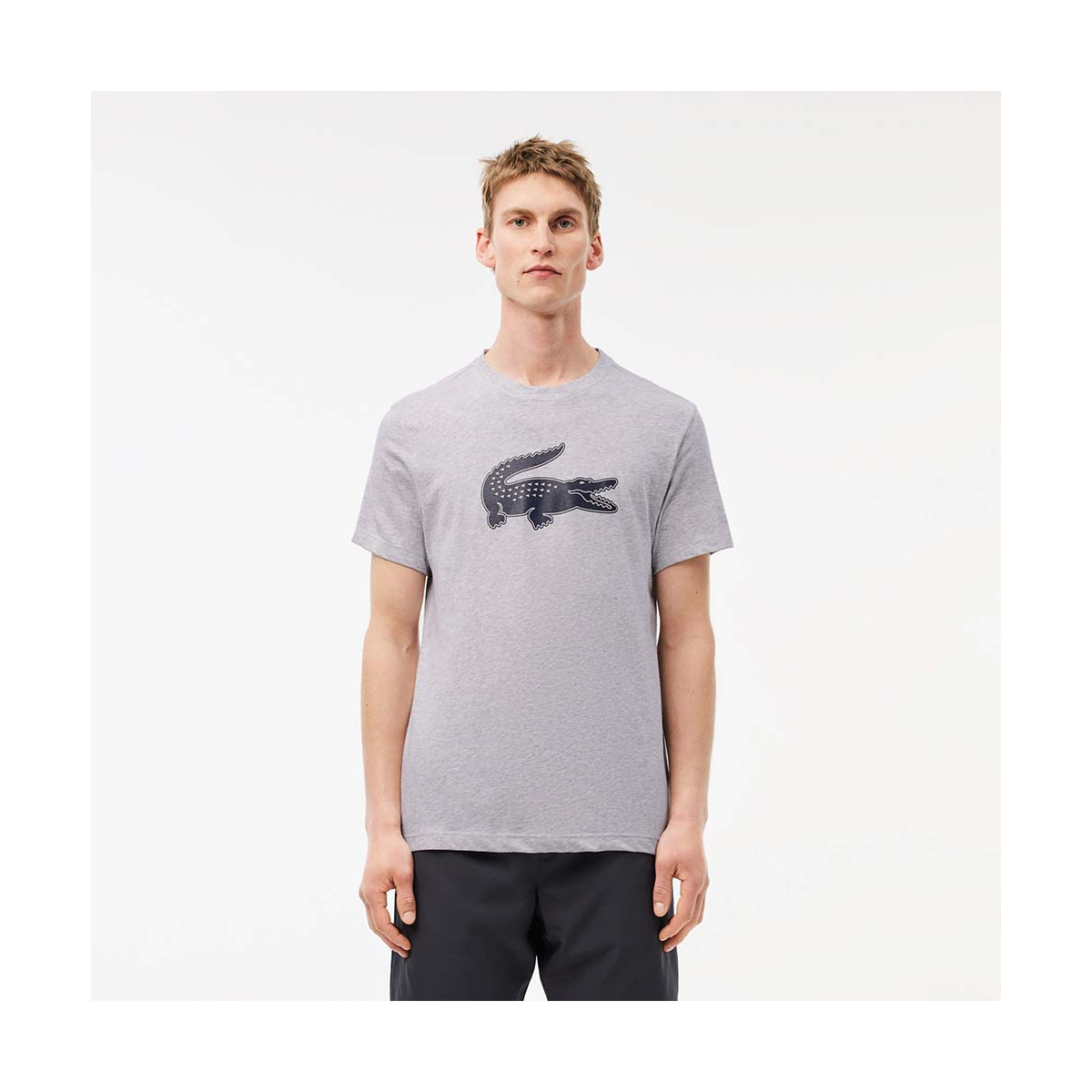 Lacoste Sport T-Shirt Grau