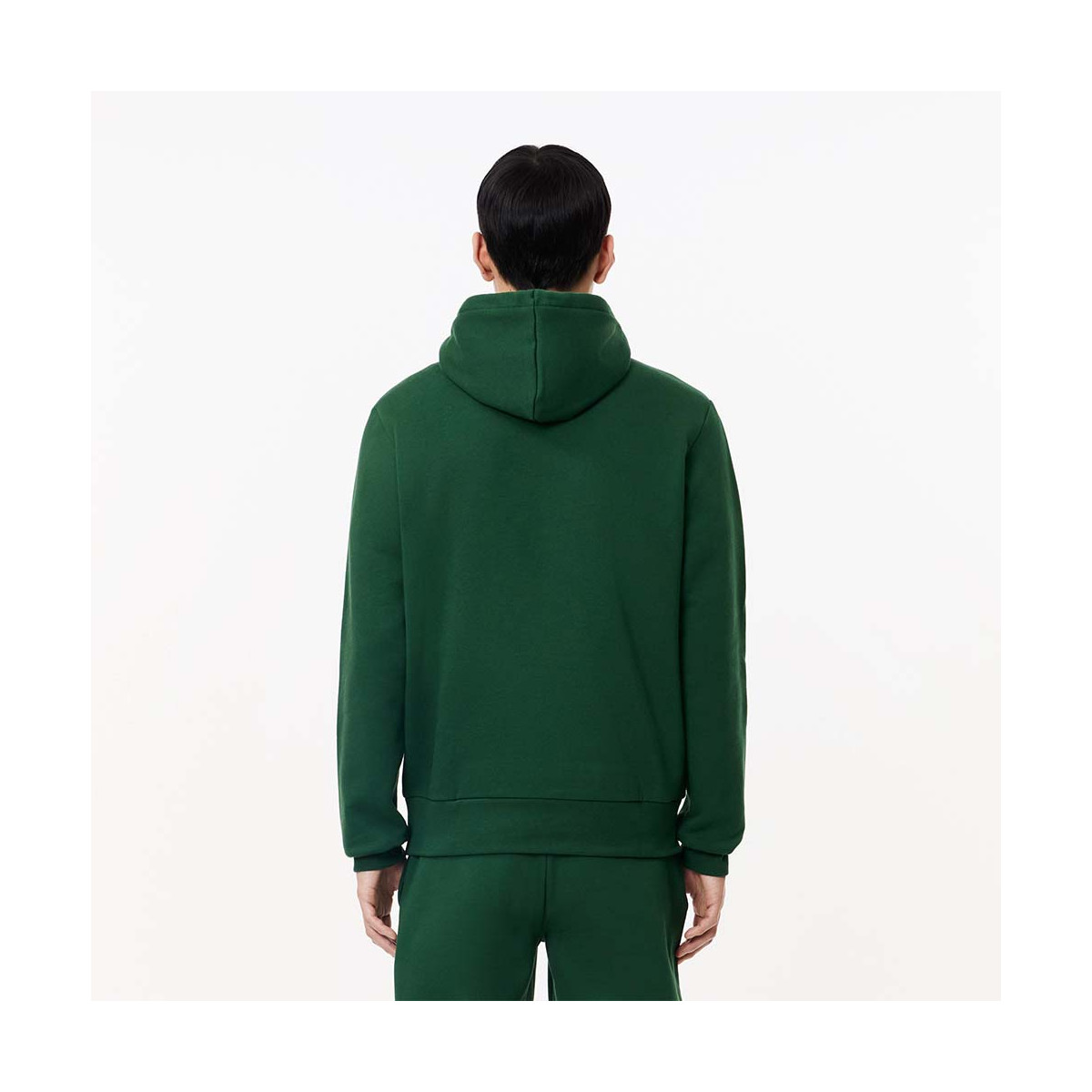 Lacoste Sweatshirt Tannengr&uuml;n