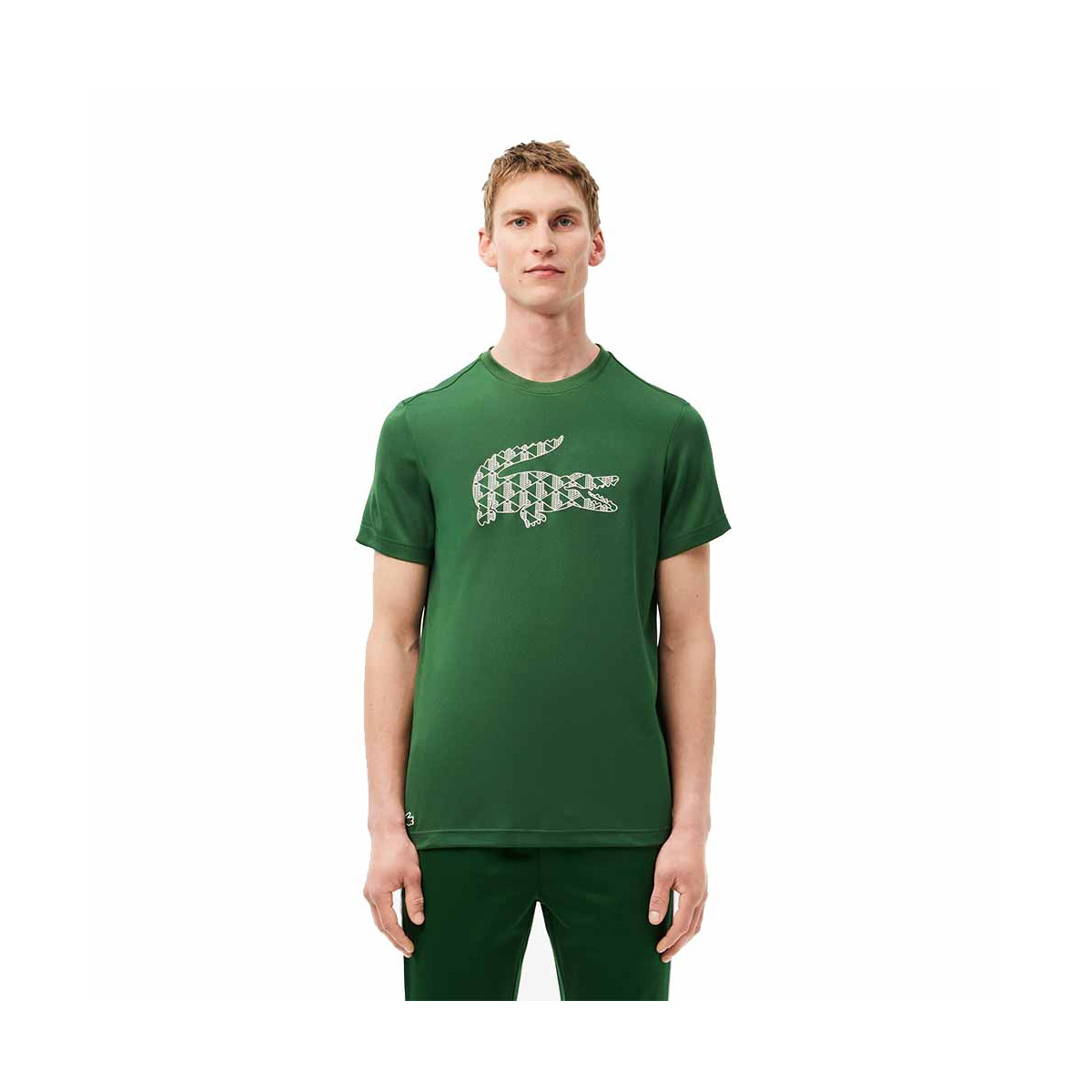 Lacoste T-Shirt Gr&uuml;n