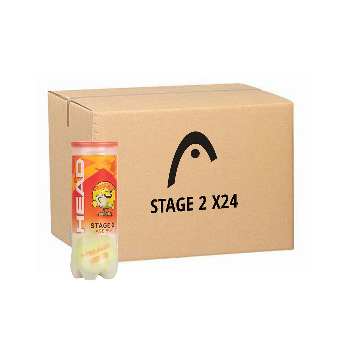 Head TIP Orange Tennisb&auml;lle Karton (24 Dosen &agrave; 3 B&auml;lle)
