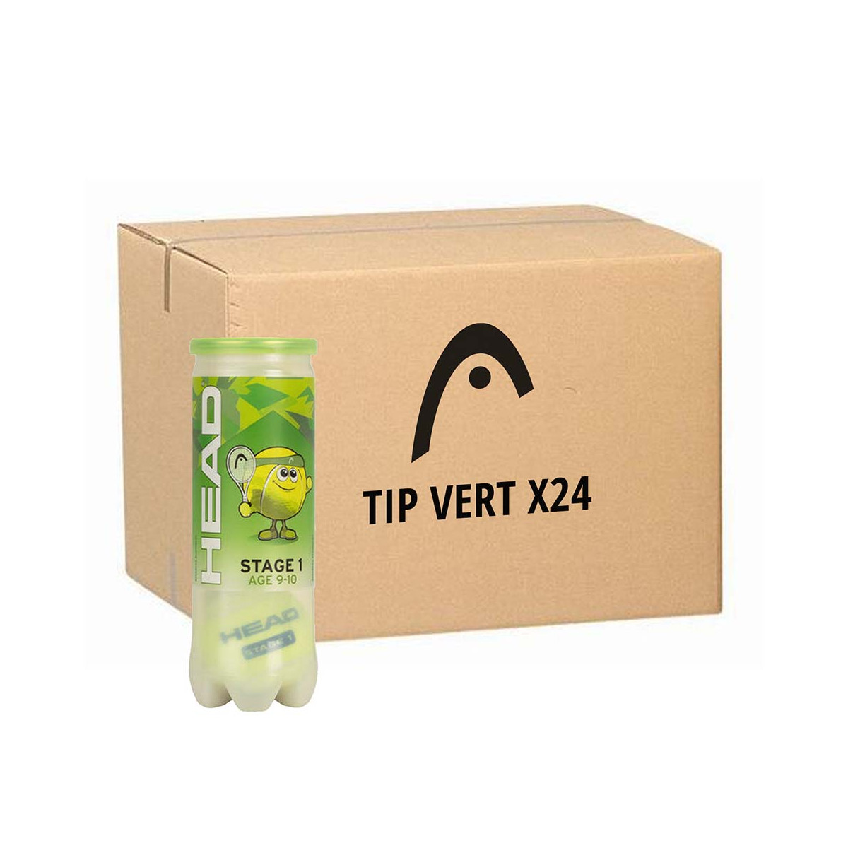 Head TIP Gr&uuml;n Tennisb&auml;lle Karton (24 Dosen &agrave; 3 B&auml;lle)