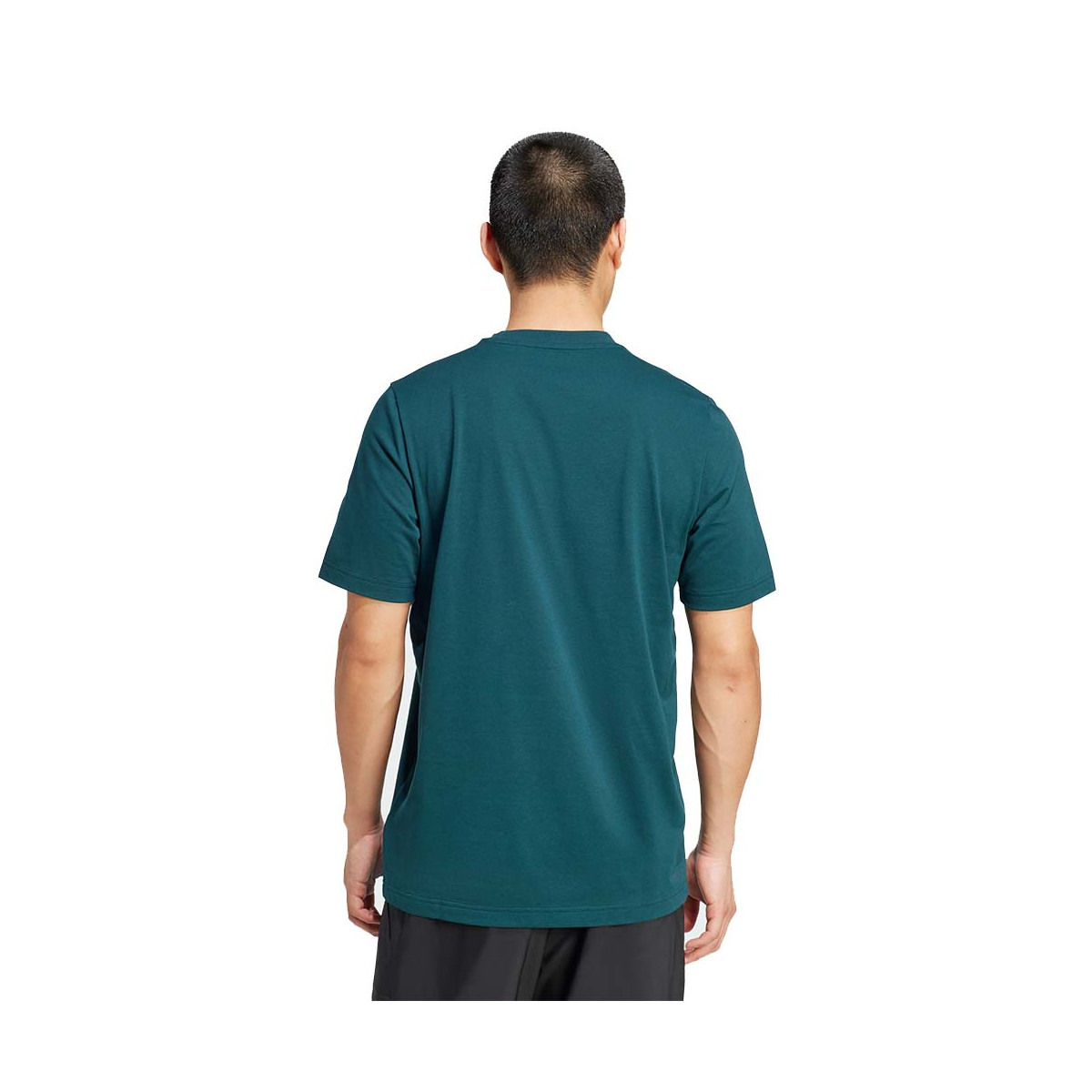 Adidas Graphic Heritage T-Shirt Gr&uuml;n