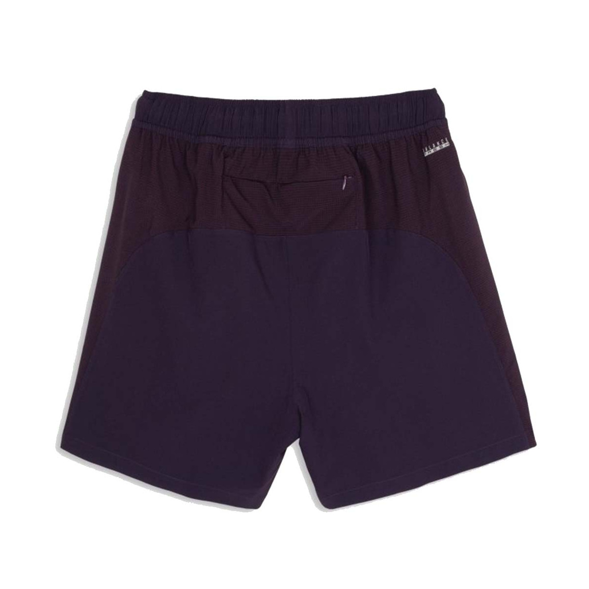 Nox Pro Short Violett