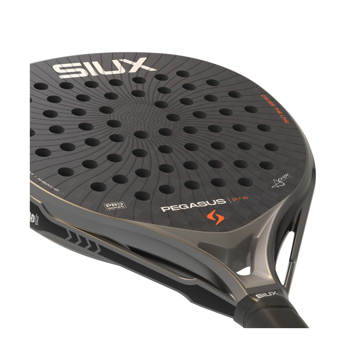 Siux Pegasus Pro 2026 Padelschl&auml;ger