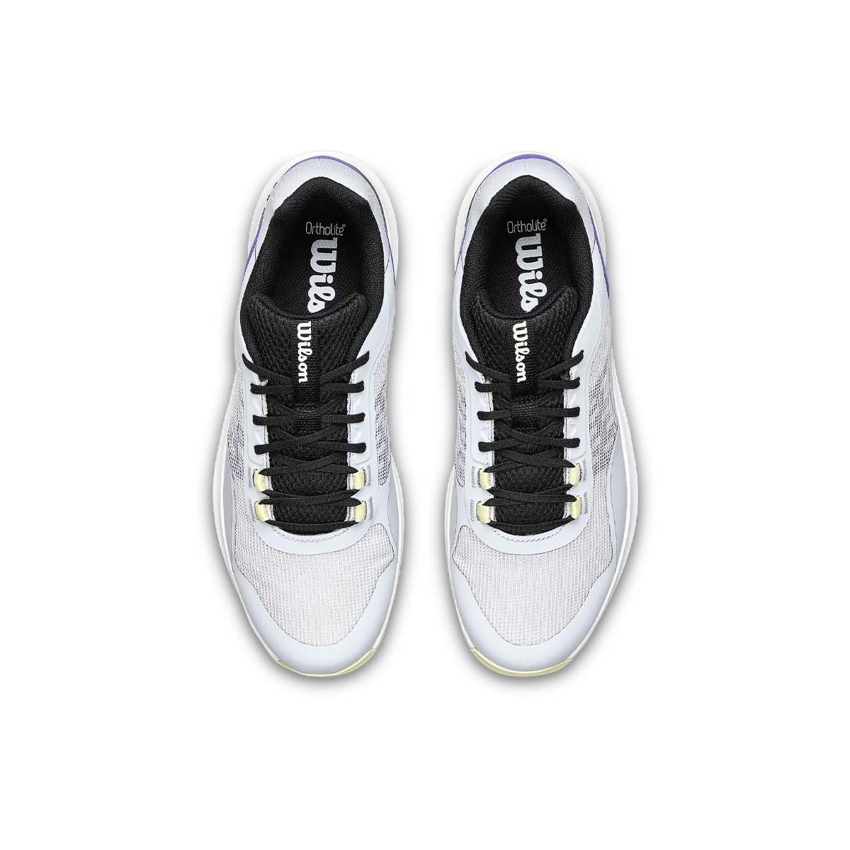 Wilson Hurakn Pro v2 Padelschuhe Grau / Violett