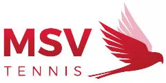 MSV