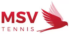 MSV