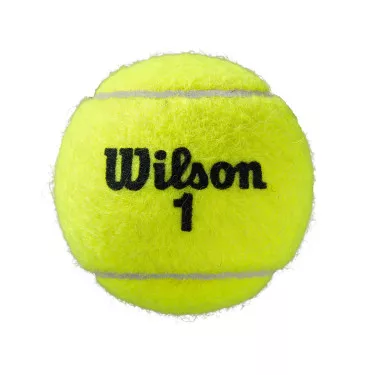 Wilson Roland Garros Clay Tennisb&auml;lle 4er-Dose