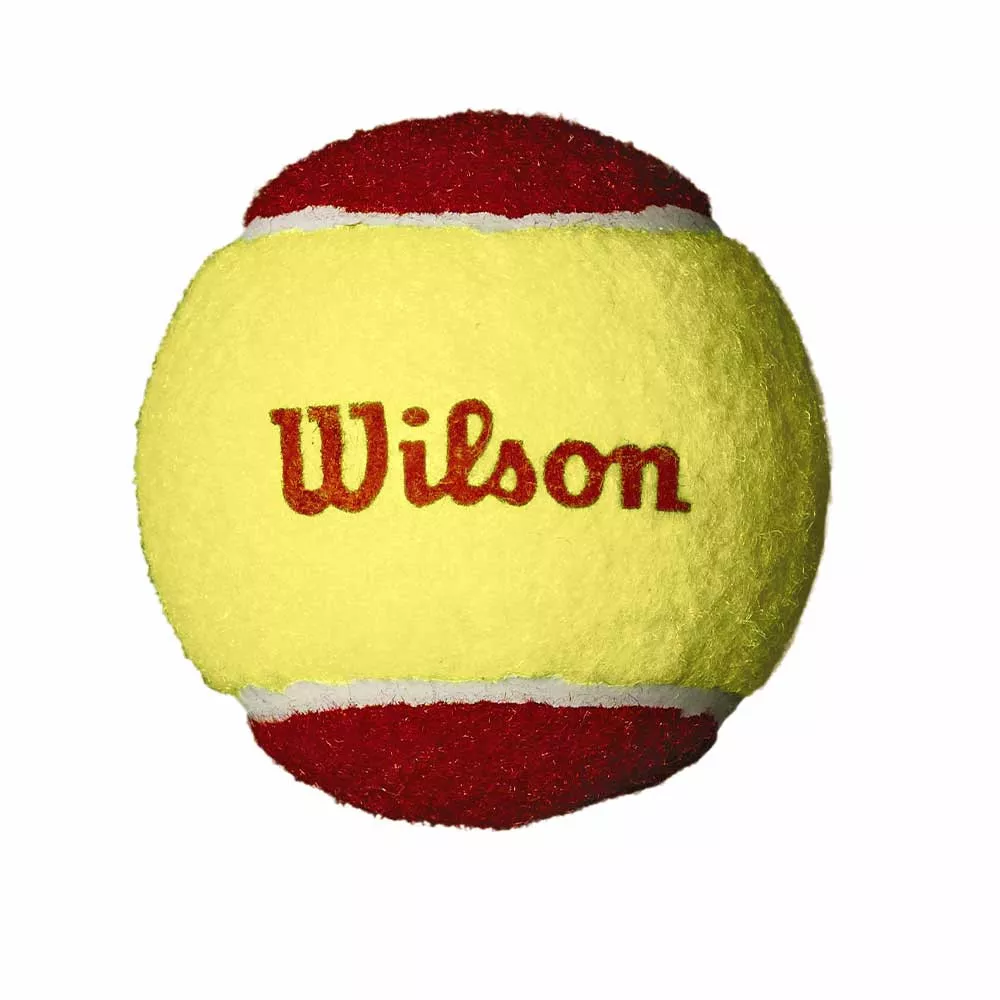 Wilson Starter Rot Tennisb&auml;lle Karton (36 B&auml;lle)
