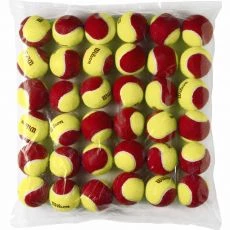 Wilson Starter Rot Tennisb&auml;lle Karton (36 B&auml;lle)