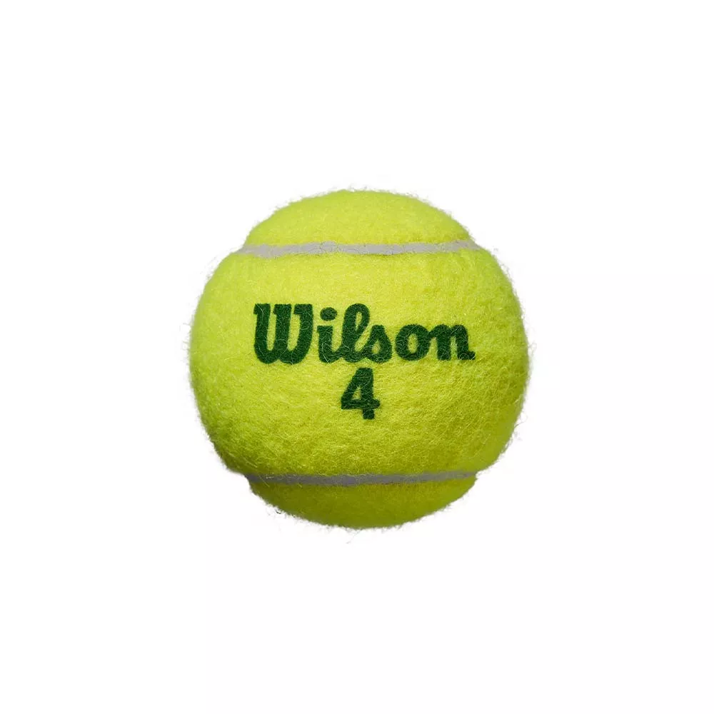 Wilson Starter Play Green Tennisb&auml;lle 4er-Dose
