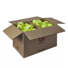 Wilson Triniti Club Tennisb&auml;lle Karton (72 B&auml;lle)