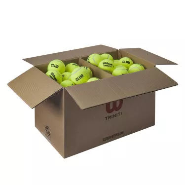 Wilson Triniti Club Tennisb&auml;lle Karton (72 B&auml;lle)