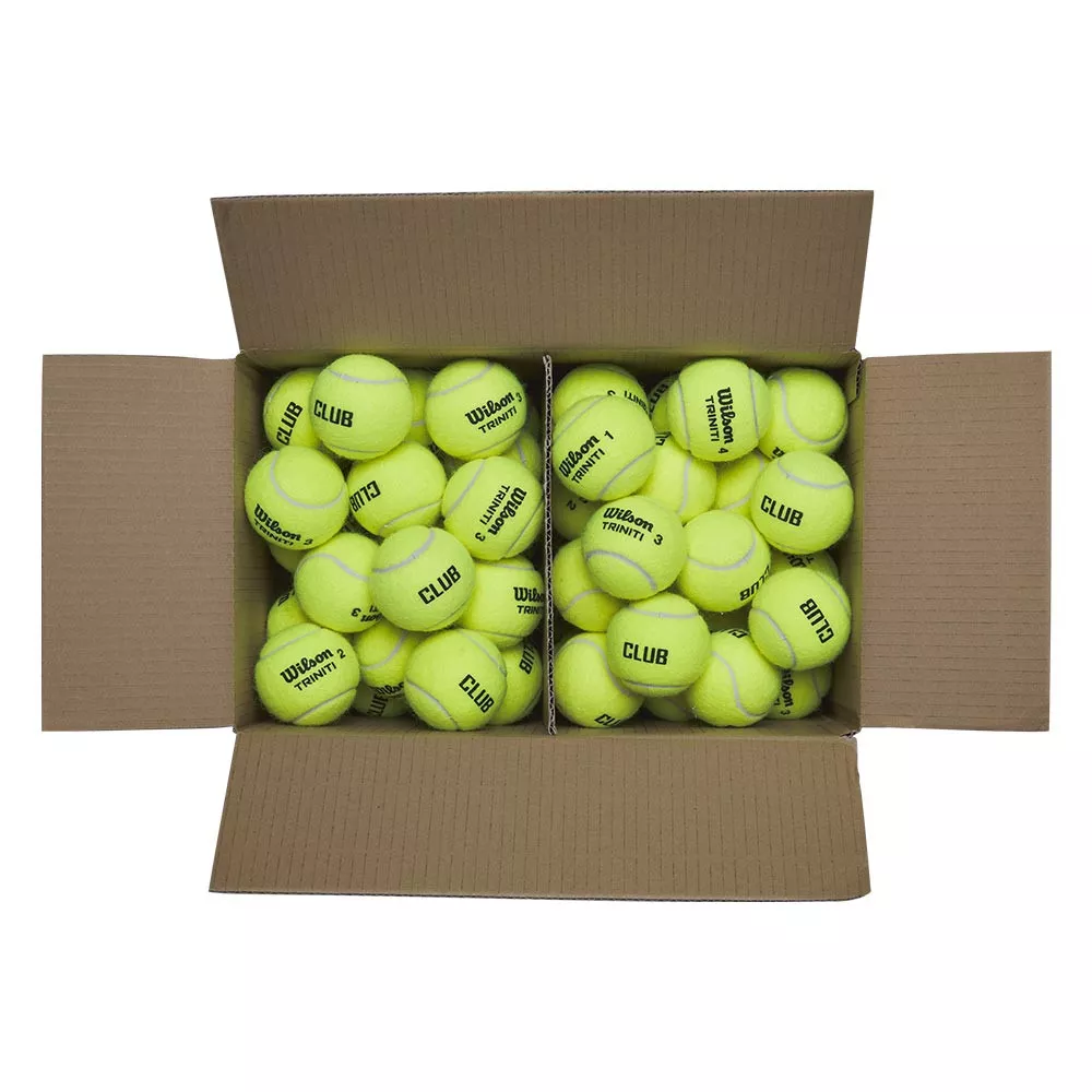 Wilson Triniti Club Tennisb&auml;lle Karton (72 B&auml;lle)