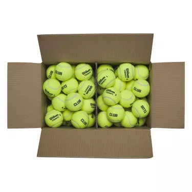 Wilson Triniti Club Tennisb&auml;lle Karton (72 B&auml;lle)