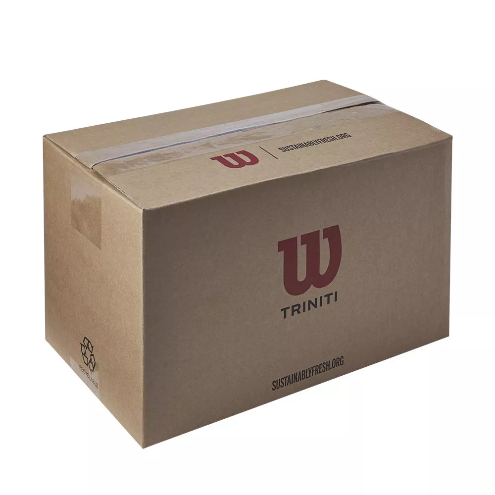 Wilson Triniti Club Tennisb&auml;lle Karton (72 B&auml;lle)
