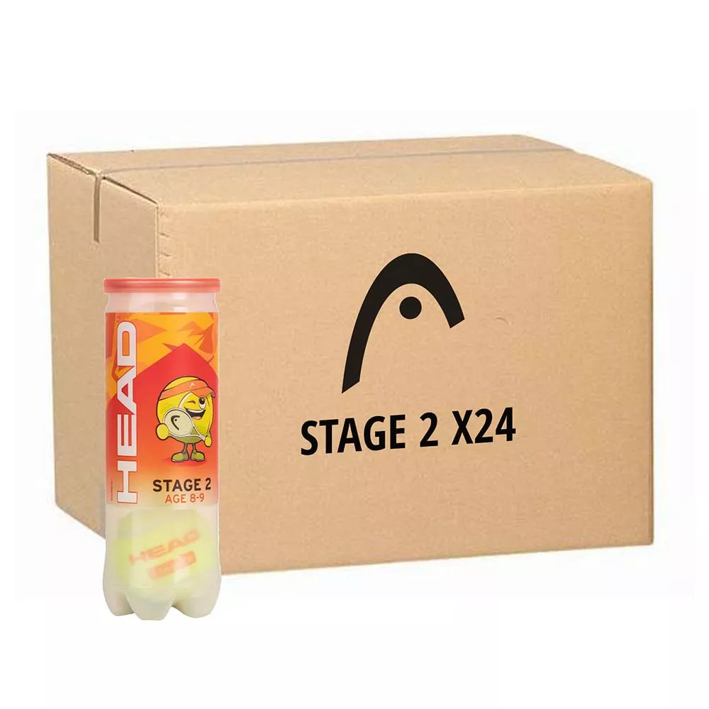 Head TIP Orange Tennisb&auml;lle Karton (24 Dosen &agrave; 3 B&auml;lle)