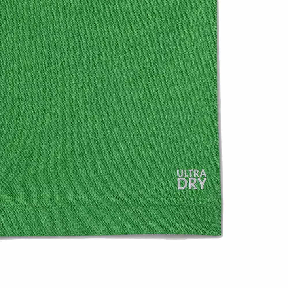 Lacoste Tennis Novak Djokovic Poloshirt Fan-Version Gr&uuml;n / Marineblau