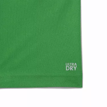 Lacoste Tennis Novak Djokovic Poloshirt Fan-Version Gr&uuml;n / Marineblau