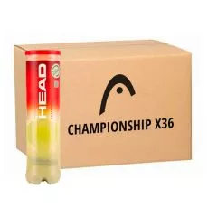 Head Championship Tennisb&auml;lle Karton (36 Dosen &agrave; 4 B&auml;lle)