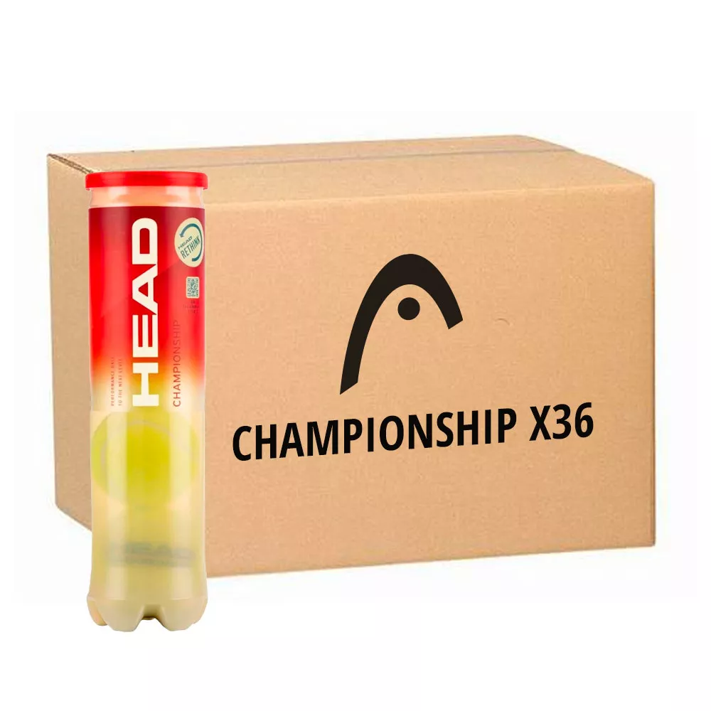 Head Championship Tennisb&auml;lle Karton (36 Dosen &agrave; 4 B&auml;lle)