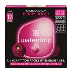 Waterdrop Berry Boost Microlyte 12er-Pack
