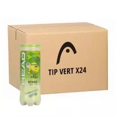 Head TIP Gr&uuml;n Tennisb&auml;lle Karton (24 Dosen &agrave; 3 B&auml;lle)