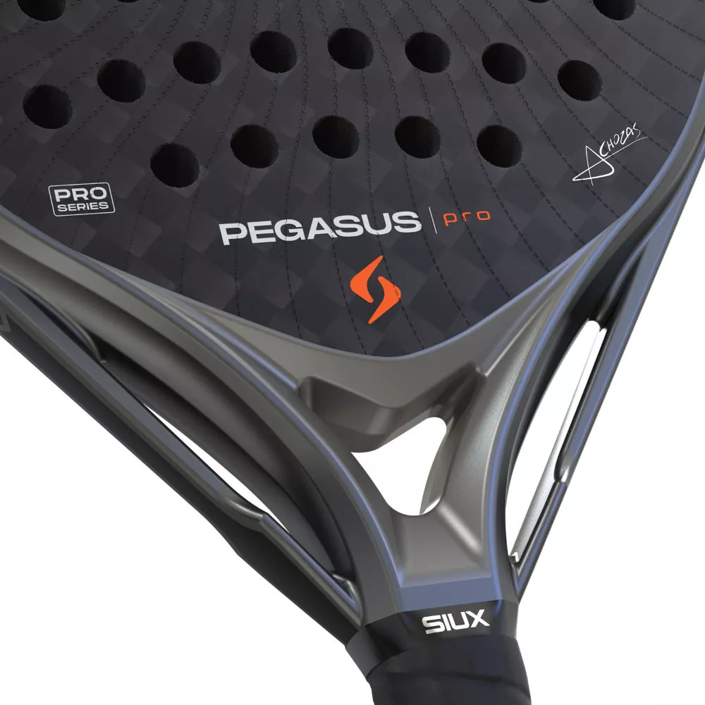 Siux Pegasus Pro 2026 Padelschl&auml;ger