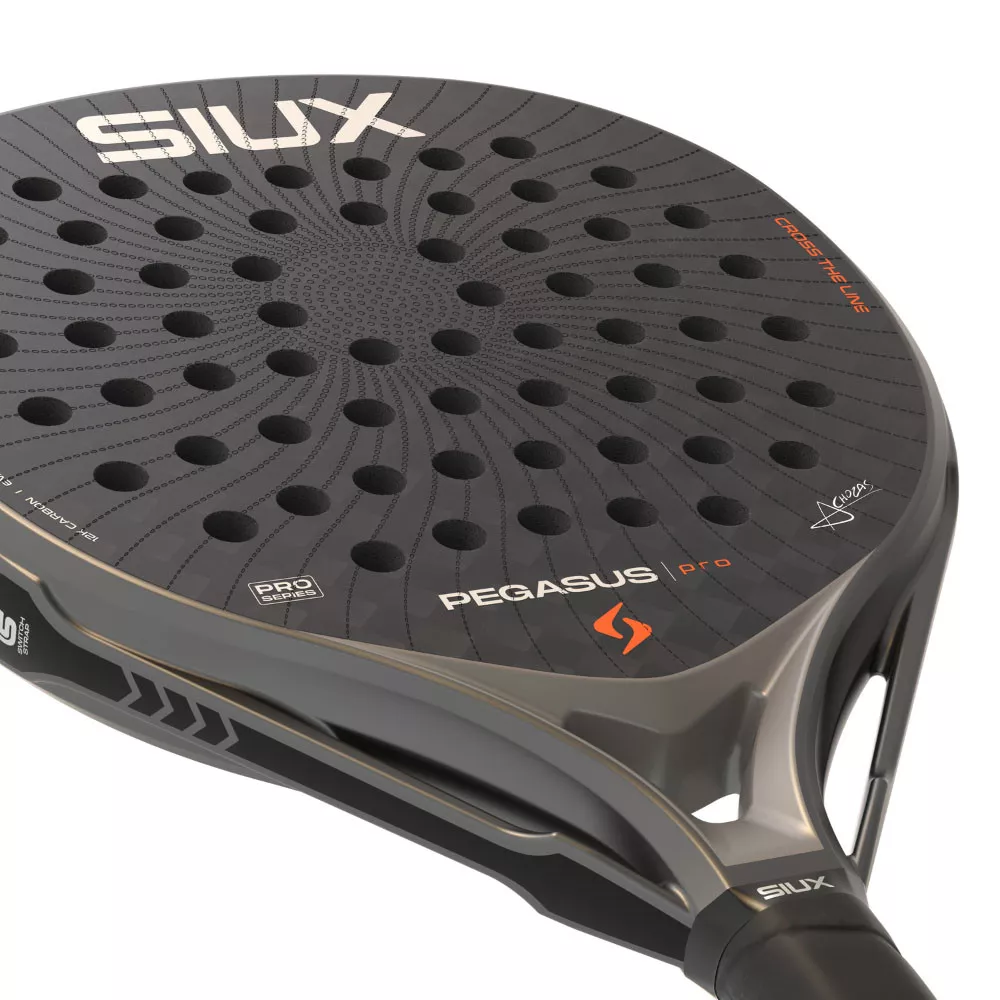 Siux Pegasus Pro 2026 Padelschl&auml;ger