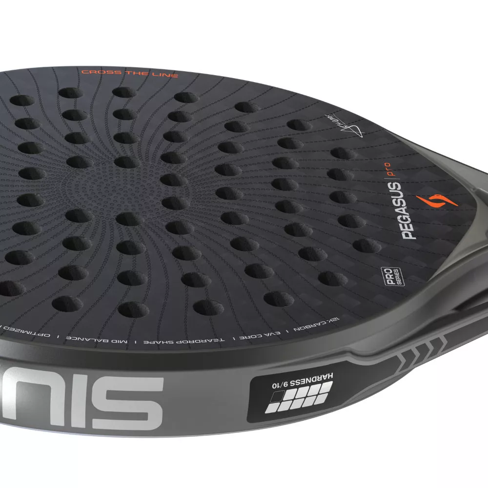 Siux Pegasus Pro 2026 Padelschl&auml;ger