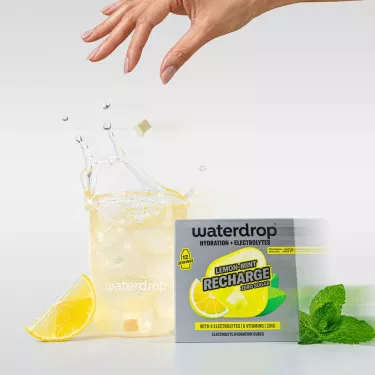 Waterdrop Nachf&uuml;llpack Zitrone / Minze 12er-Pack