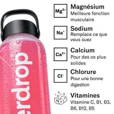 Waterdrop Recharge Beeren 12er-Pack