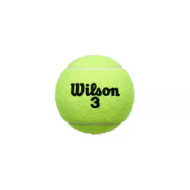 Wilson Roland Garros All Court Tennisb&auml;lle 4er-Dose